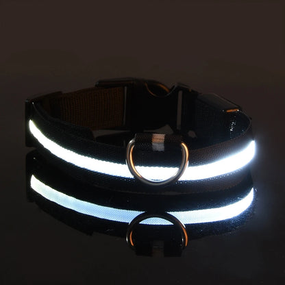 Collier lumineux pour chien