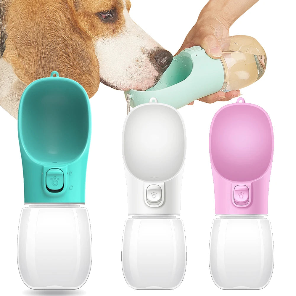 Bouteille d'eau portable pour chiens et chats