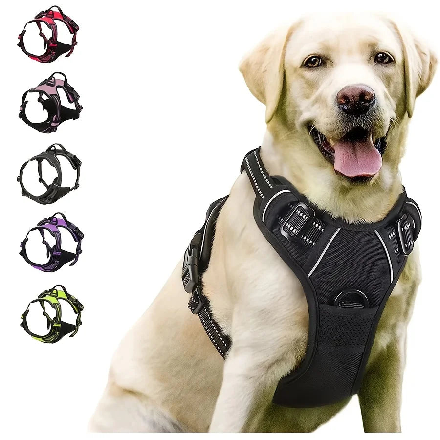 Harnais anti-traction pour chien