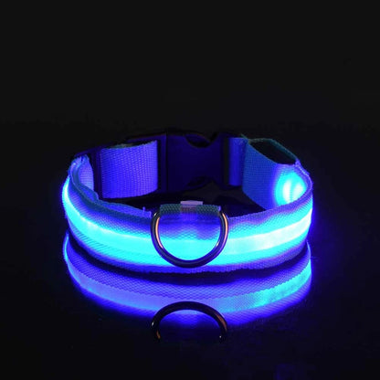 Collier lumineux pour chien