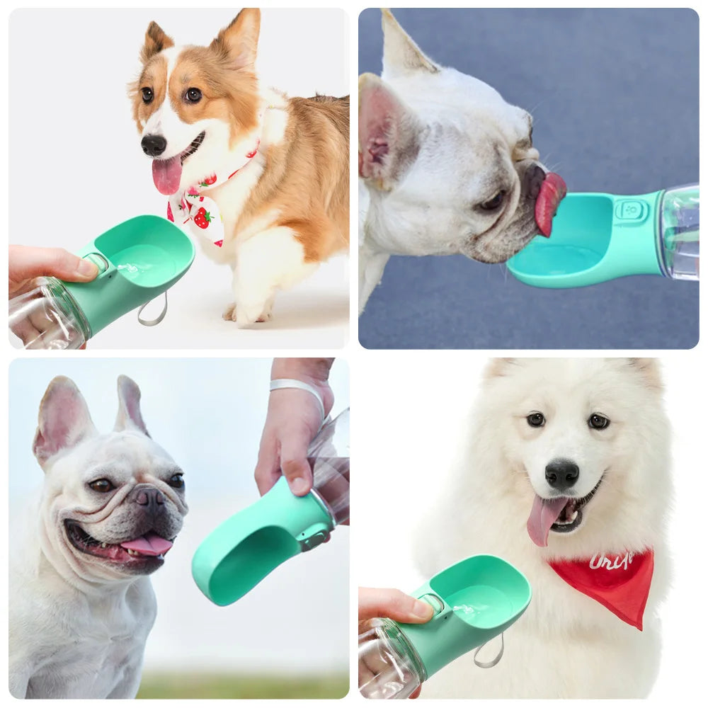 Bouteille d'eau portable pour chiens et chats