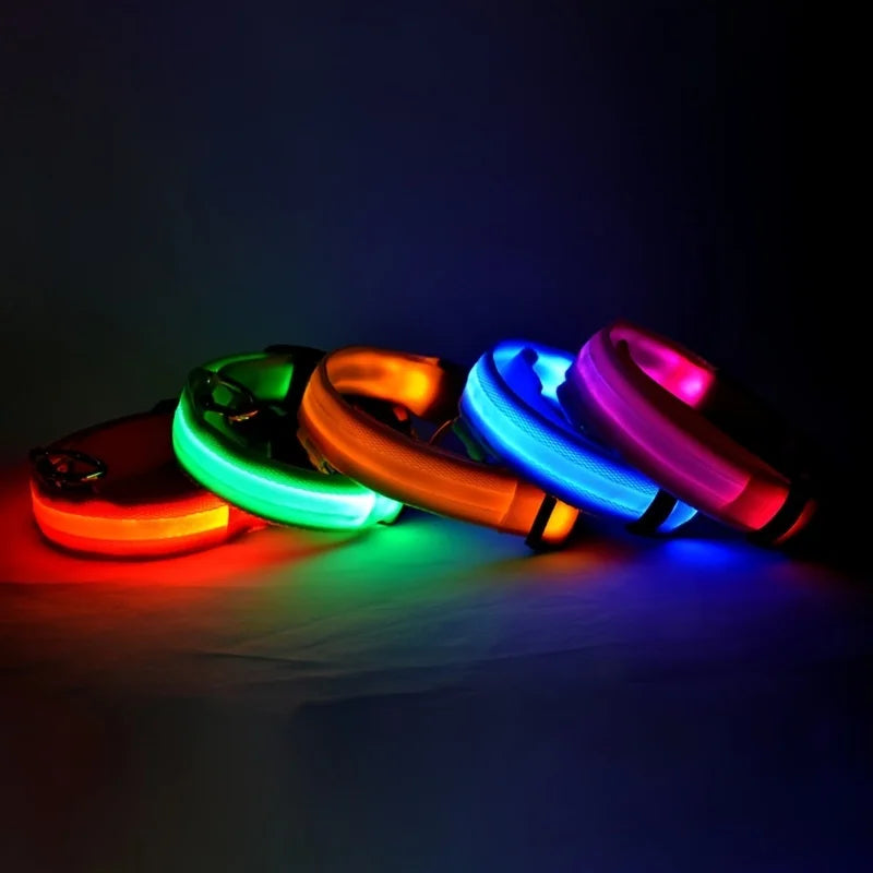 Collier lumineux pour chien