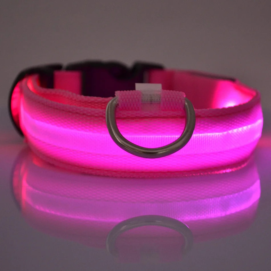 Collier lumineux pour chien