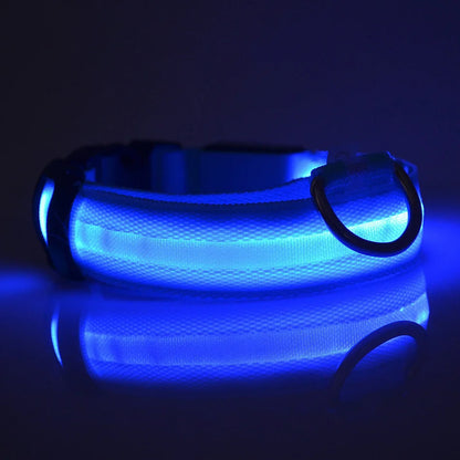 Collier lumineux pour chien