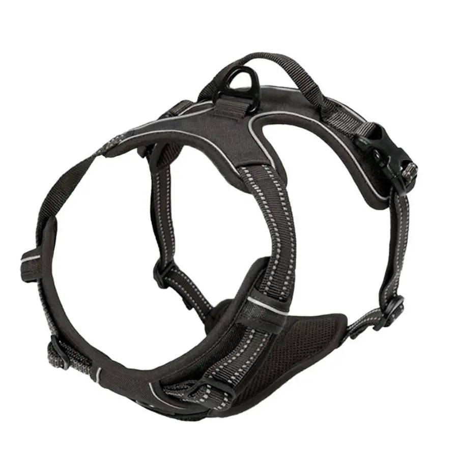 Harnais anti-traction pour chien