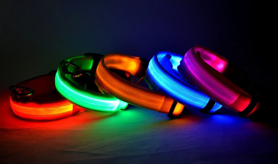 Collier lumineux pour chien